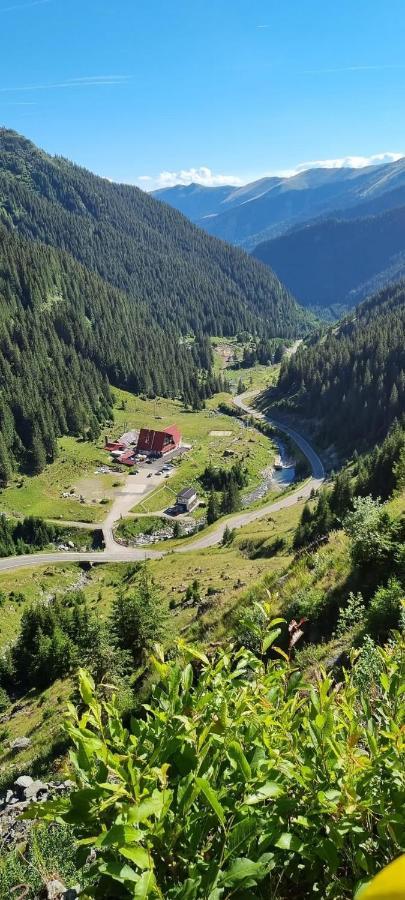 הוילה Căpăţîneni-Ungureni Casa Lupilor Transfagarasan מראה חיצוני תמונה