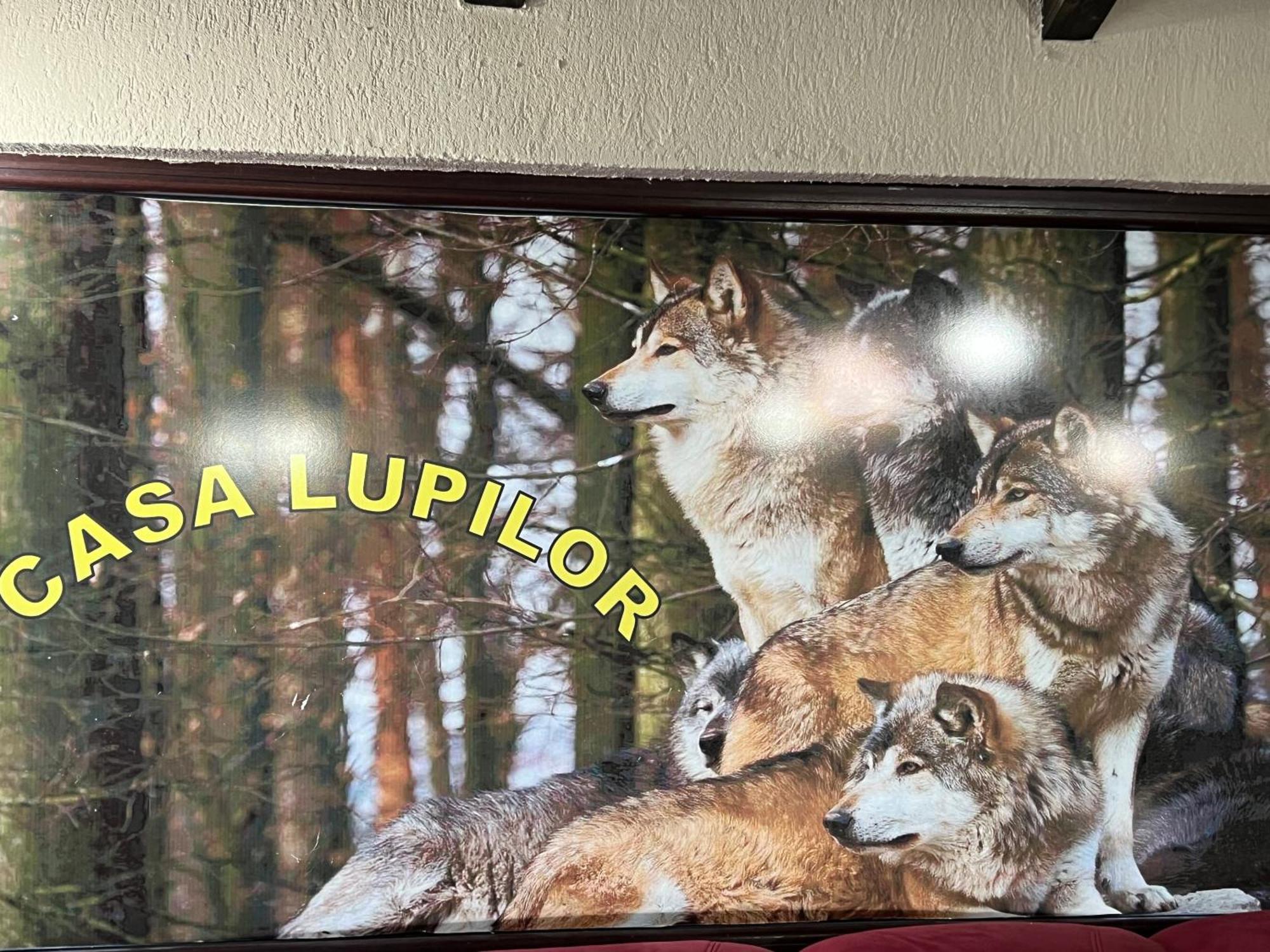 הוילה Căpăţîneni-Ungureni Casa Lupilor Transfagarasan מראה חיצוני תמונה