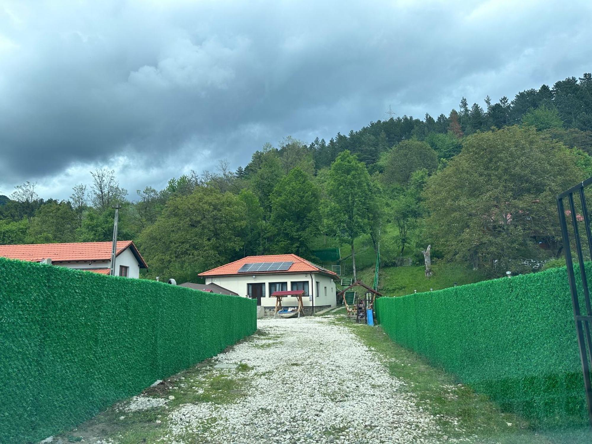 הוילה Căpăţîneni-Ungureni Casa Lupilor Transfagarasan מראה חיצוני תמונה